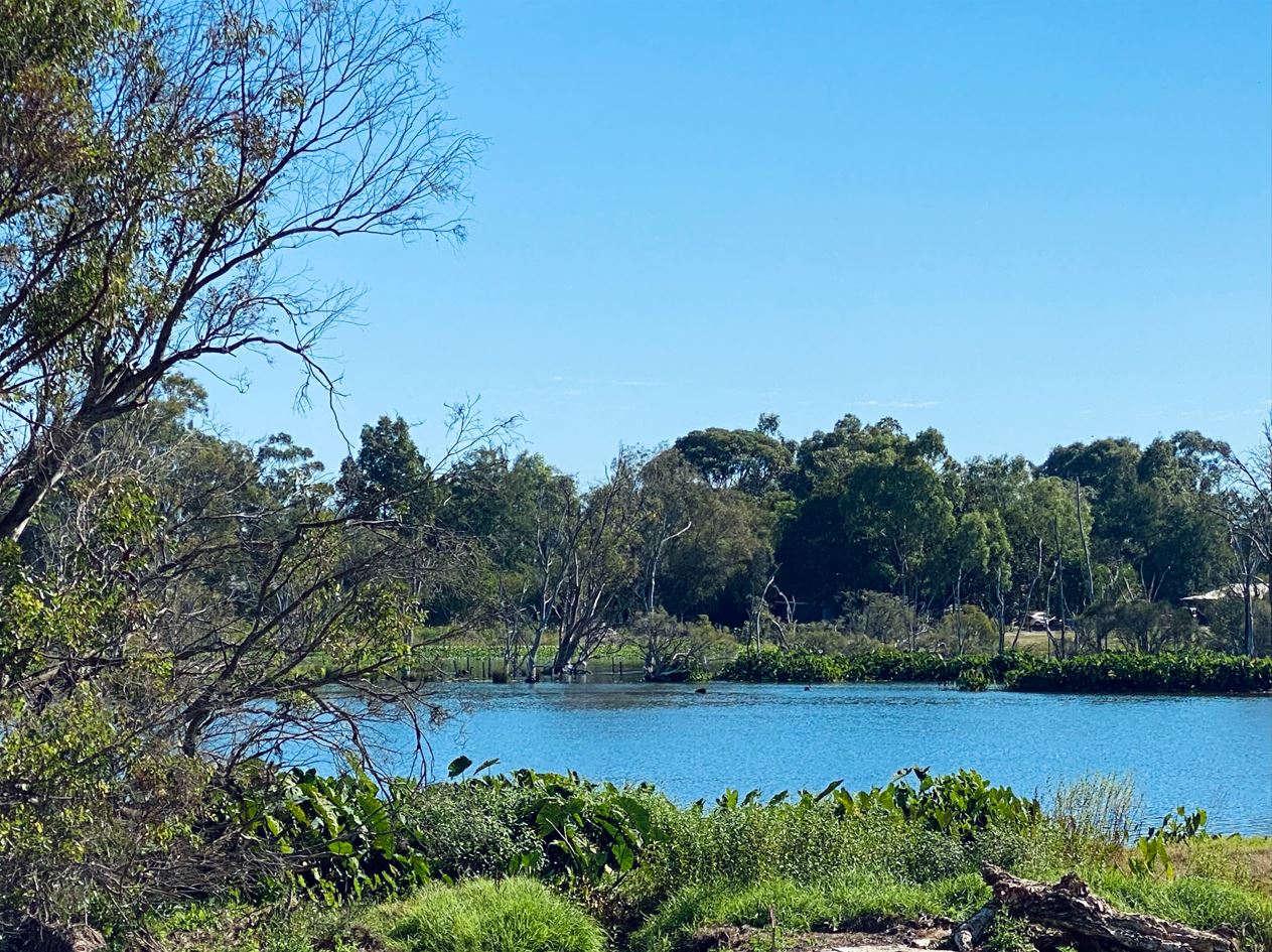 [Land for Sale] Springtime Estate, Haynes OpenLot